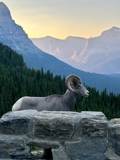 Glacier National Park