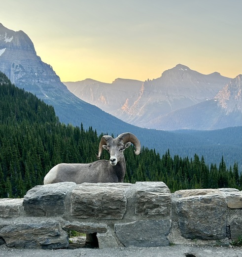 Glacier National Park