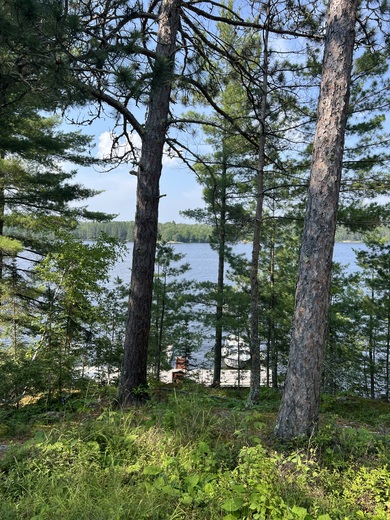 Voyageurs National Park