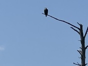 Voyageurs National Park