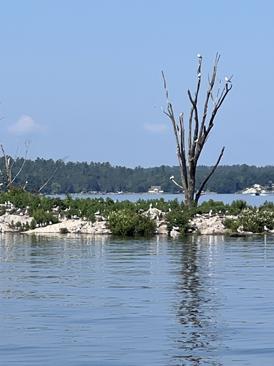 Voyageurs National Park