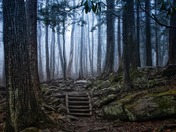 Great Smoky Mountains National Park