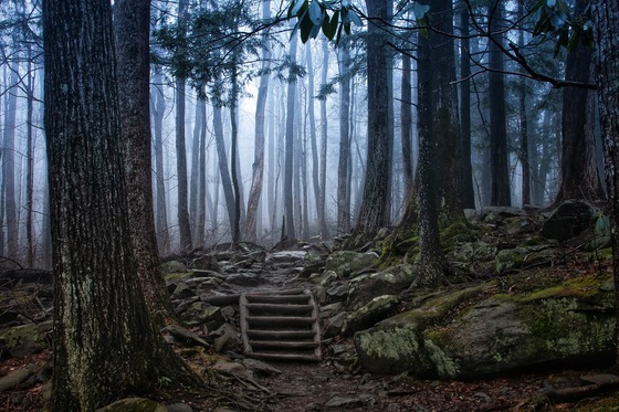 Great Smoky Mountains National Park