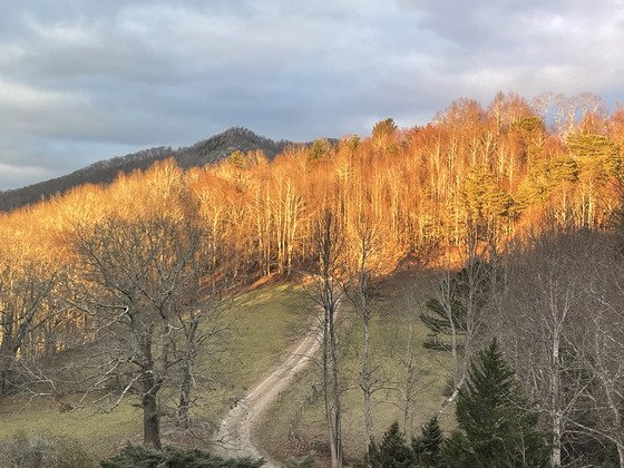 Blueridge Parkway