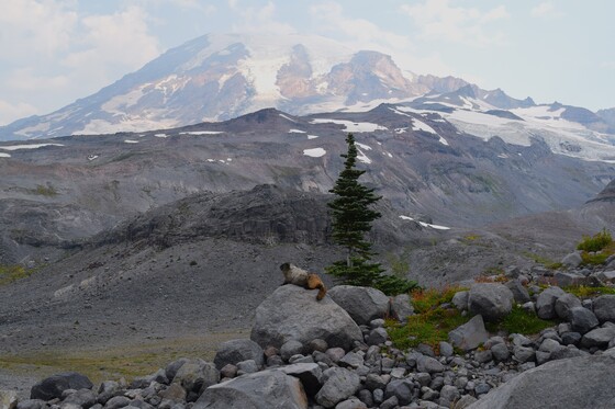 Mount Rainier National Park