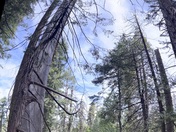 Yosemite National Park