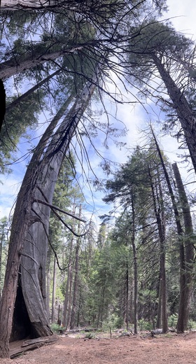 Yosemite National Park