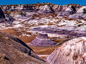 Petrified Forest National Park 
