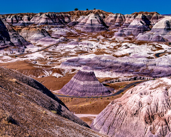 Petrified Forest National Park 