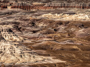 Petrified Forest National Park 