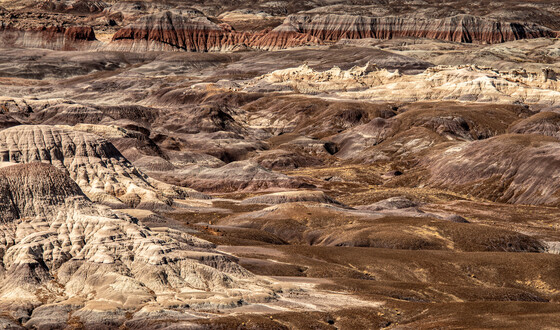 Petrified Forest National Park 