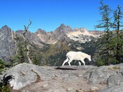 North Cascades National Park