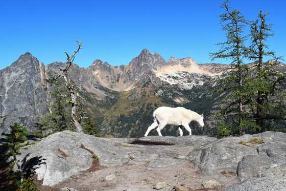 North Cascades National Park