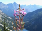 North Cascades National Park