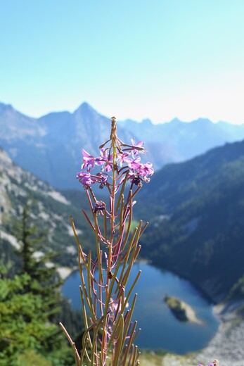 North Cascades National Park