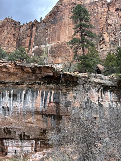 Zion National Park