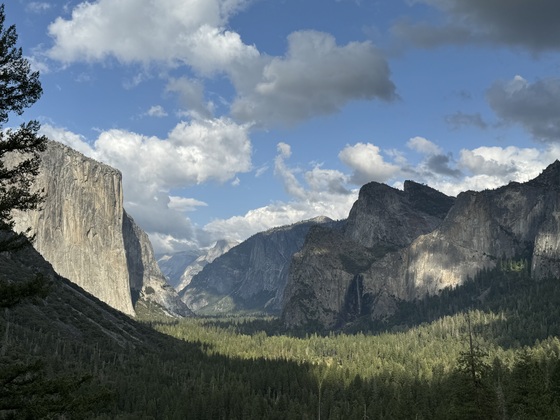 Yosemite National Park