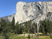 Yosemite National Park