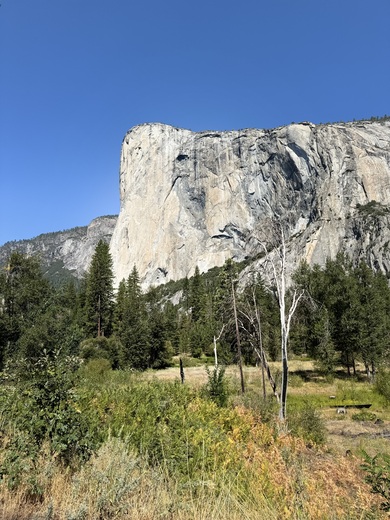 Yosemite National Park