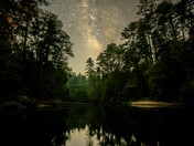 Francis Marion and Sumter National Forests 