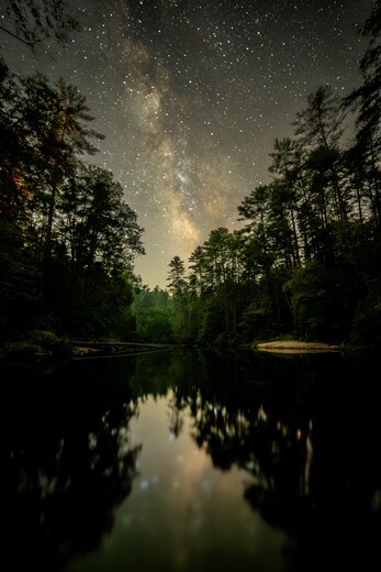 Francis Marion and Sumter National Forests 