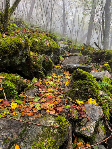 Great Smoky Mountains National Park