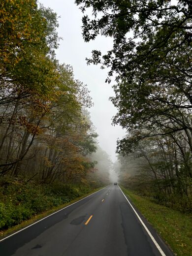 Shenandoah National Park