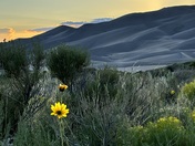 Great Sand Dunes National Park