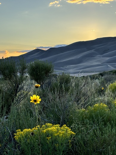 Great Sand Dunes National Park