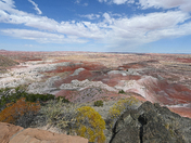 Painted Desert/Petrified Forest 