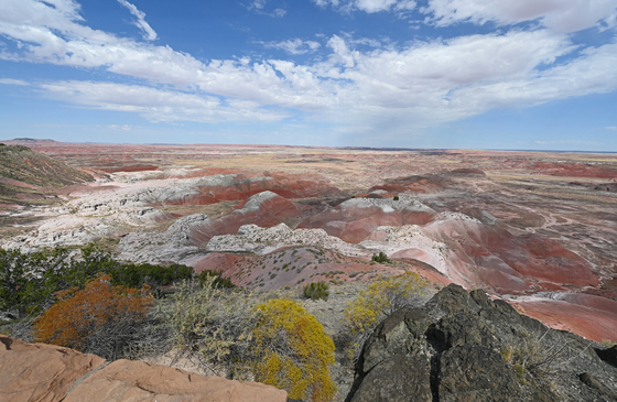 Painted Desert/Petrified Forest 