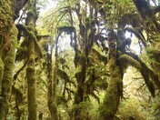 Olympic National Park