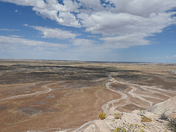 Painted Desert/Petrified Forest 