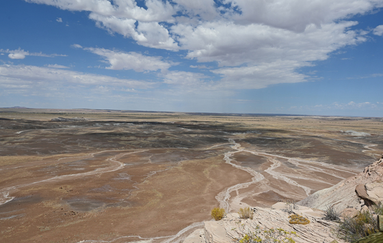 Painted Desert/Petrified Forest 