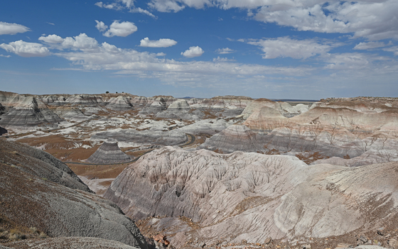Painted Desert/Petrified Forest 
