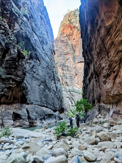 Zion National Park