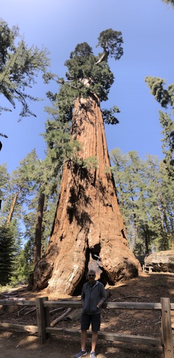 SEQUOIA NATIONAL PARK 