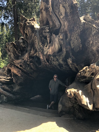 SEQUOIA NATIONAL PARK 