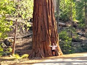 SEQUOIA NATIONAL PARK 