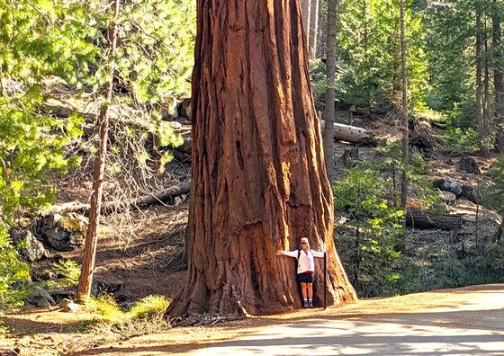 SEQUOIA NATIONAL PARK 