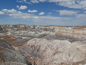 Painted Desert/Petrified Forest 