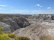 Painted Desert/Petrified Forest 