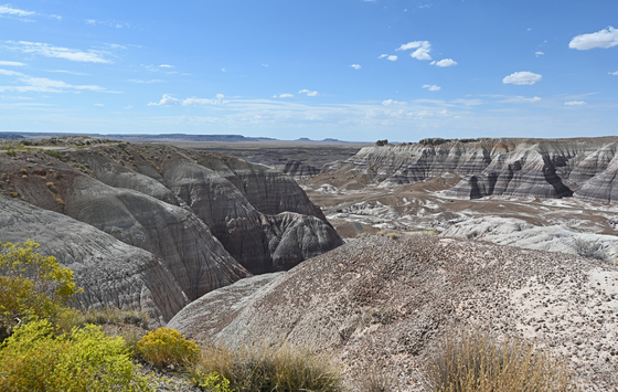 Painted Desert/Petrified Forest 