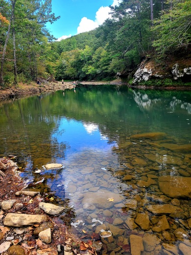 Ouachita National Forest
