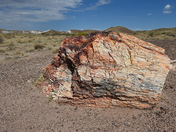Petrified Forest 