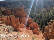 Dixie National Forest