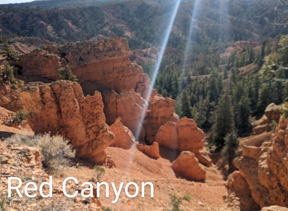 Dixie National Forest