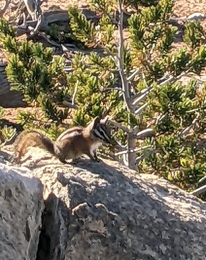 Dixie National Forest