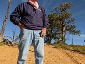 Dixie National Forest