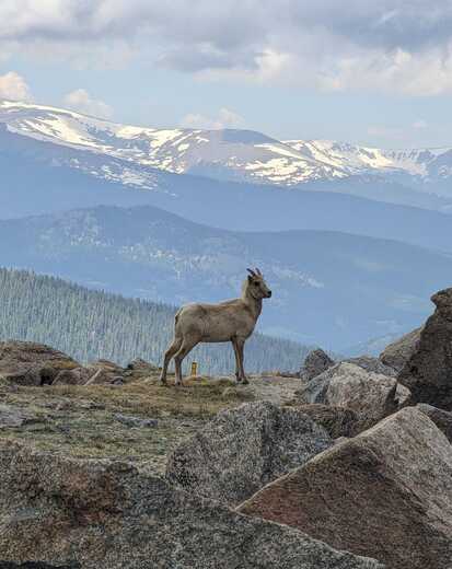 Arapaho & Roosevelt National Forests